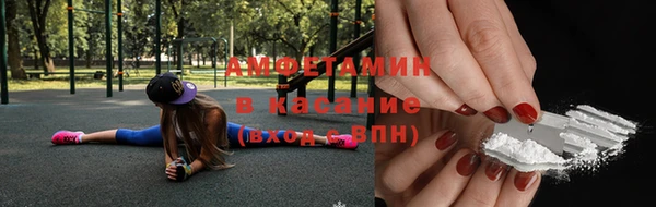 метадон Алексин