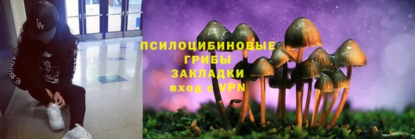 метадон Алексин