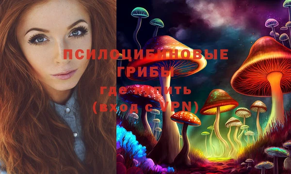 ПСИЛОЦИБИНОВЫЕ ГРИБЫ Алексеевка