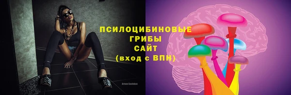 ПСИЛОЦИБИНОВЫЕ ГРИБЫ Алексеевка