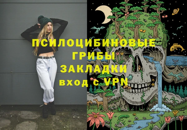 ПСИЛОЦИБИНОВЫЕ ГРИБЫ Алексеевка