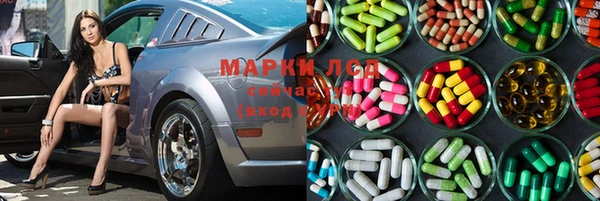 крисы Алзамай