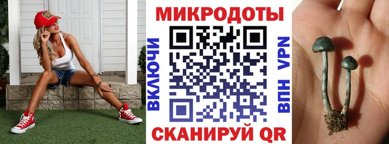 Псилоцибиновые грибы мицелий  Ардон 